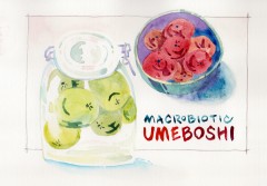 Mindcraft Workshop: <br>Macrobiotic Umeboshi (Pickled Japanese Plums), Ume Juice and Ume Sake