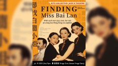 尋找白蘭小姐